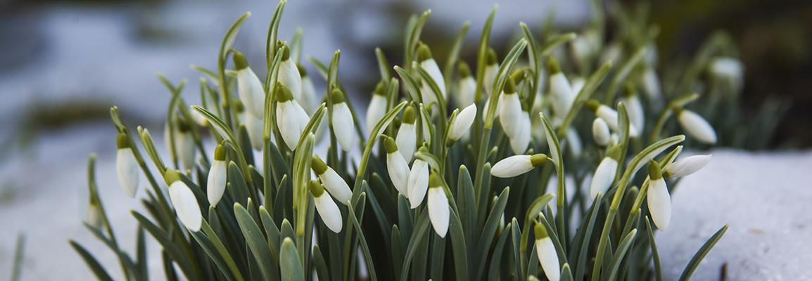 изображение к новости